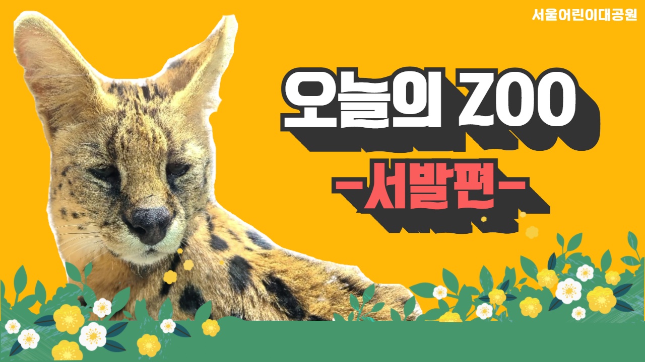 [오늘의 ZOO] 4월 서발편 사진