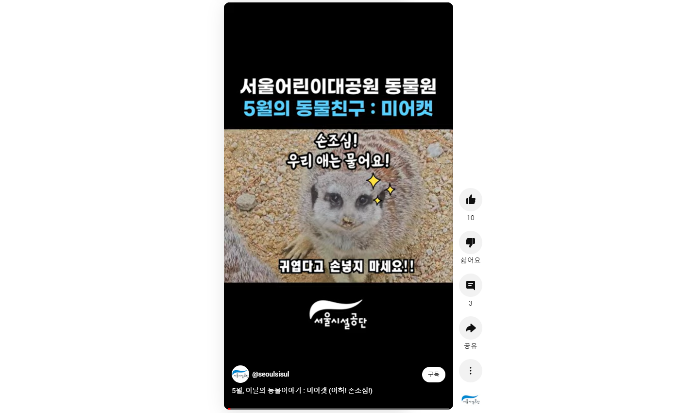 5월 이달의 동물 이야기 : 미어캣 사진