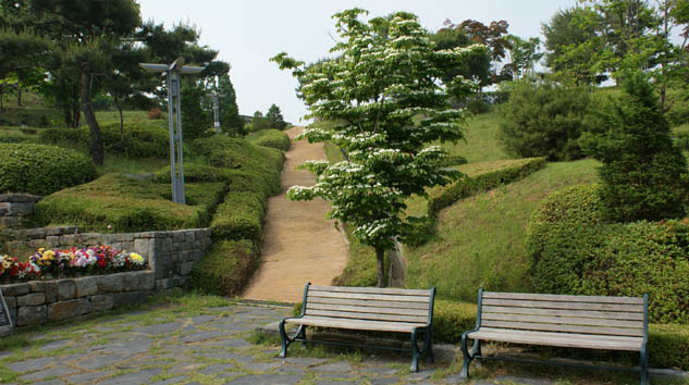 추모의 숲 사진