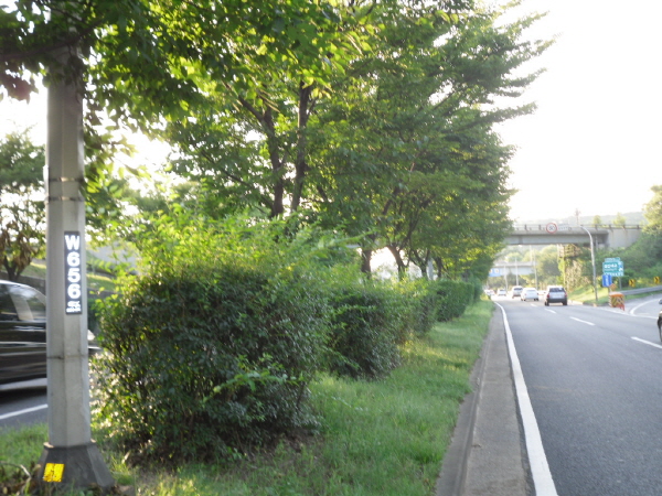 강변북로(난지방향) 성산대교 지난 80M 사진