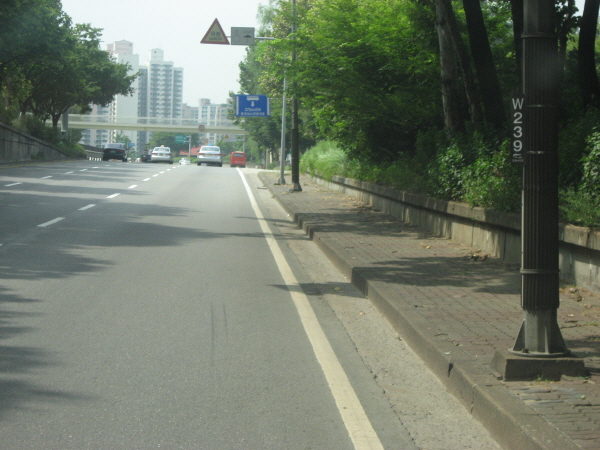 노들길(양화교방향) 성산대교 밑 지난 170M 사진